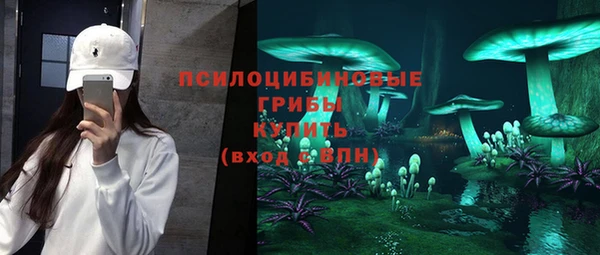 гашик Белоозёрский